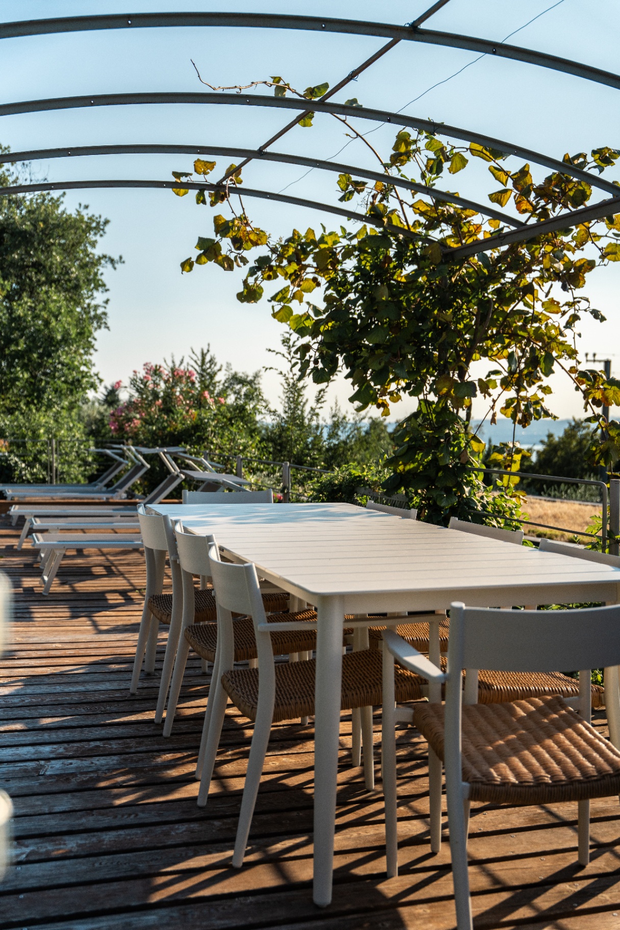 Outdoor dining under the pergola
